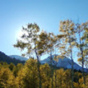 Meet your Posher, Deb